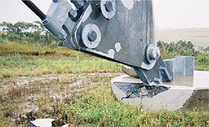 Damage to the outer