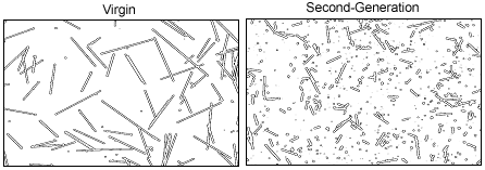 Figure 5 - Comparison of glass fibers between unprocessed virgin and second-generation material in the part.