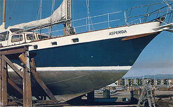 aspirada nace fig 4