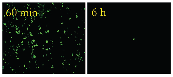 two images, one image with lots of particles on copper and another one with only one particle