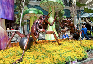 Giant Bronze Ants at the Bellagio.