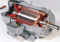 cutaway of copper motor rotor