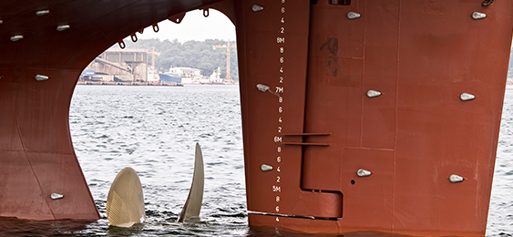 Boat Hull