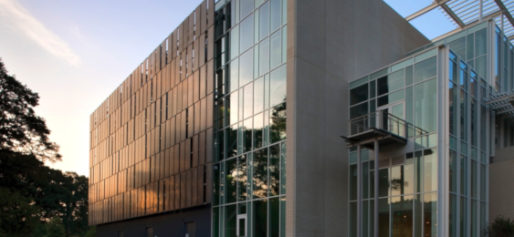 A healthy building
