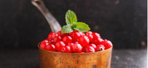 Cranberries in a Copper Pot