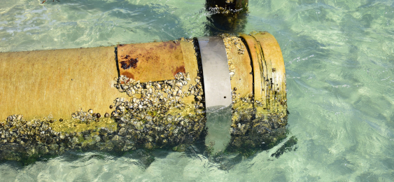 Pipe in ocean water