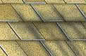 Asphalt shingles contained with the algae