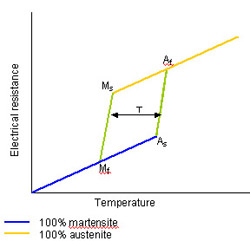 Superelasticity - an overview