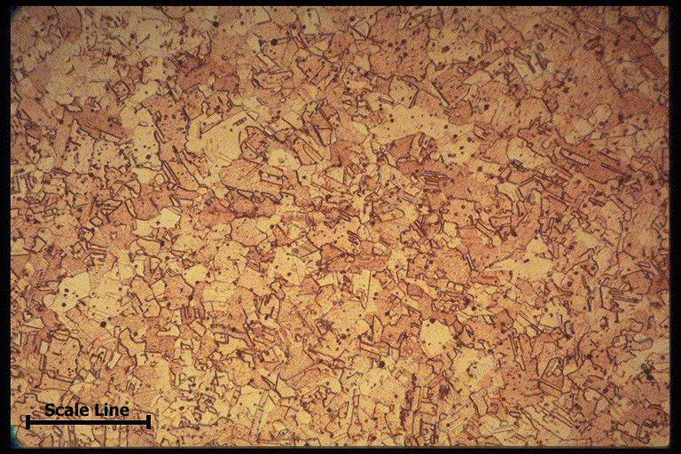 Resources: Standards & Properties - Copper & Copper Alloy Microstructures:  Coppers