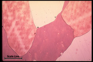 Microstructure