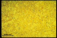 Microstructure